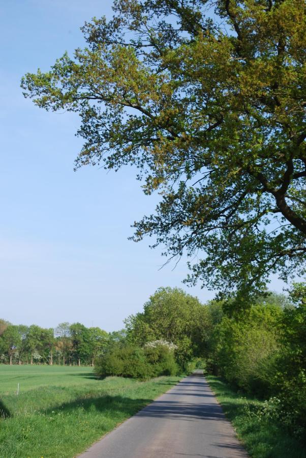 Ferienwohnung Im Grunen - Hof Blohme Langwedel  エクステリア 写真