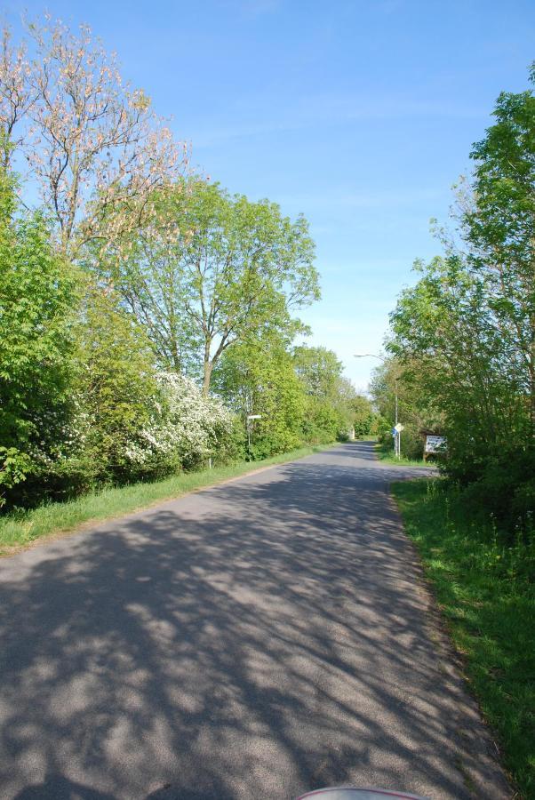 Ferienwohnung Im Grunen - Hof Blohme Langwedel  エクステリア 写真